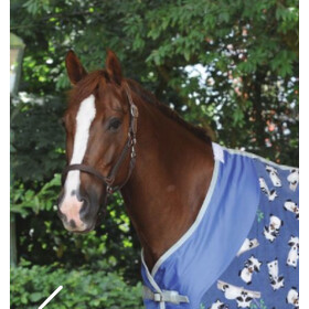 WeatherBeeta Fleece Cooler standard neck Raccoon Print 155